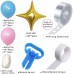 Gender Reveal Balloon Garland Arch Kit